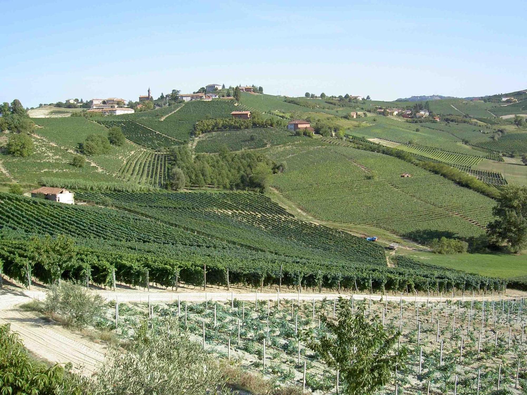 Agriturismo Vecchio Torchio Villa Canelli Eksteriør billede